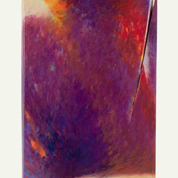 Passione speranza T 8, 2019, olio su tela, 120x80 cm